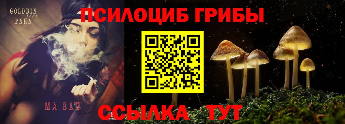 Бор  Псилоцибиновые грибы ЛСД  Вход с VPN 